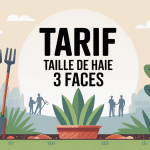 illustration tarif taille de haie 3 faces jardin