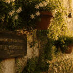 idee pour cacher un mur exterieur avec vegetation et jardiniere