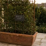 Brise vue plante : palissade de treillis végétalisée pour cacher le vis-à-vis
