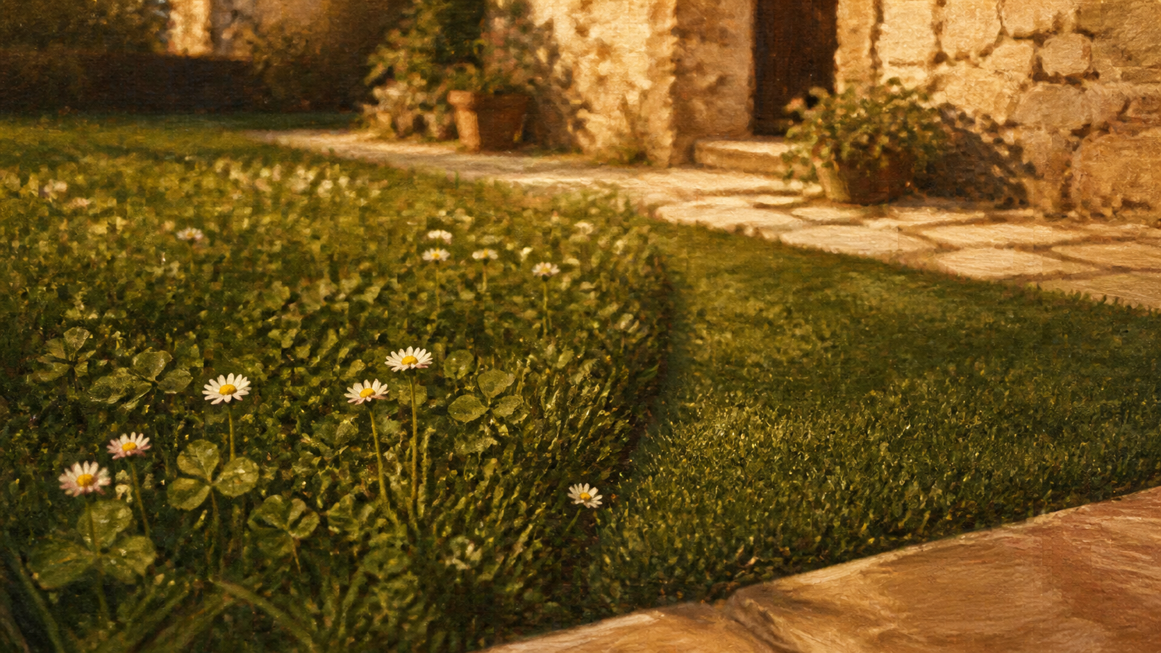 Herbe ou gazon : bordure tondue vs zone naturelle fleurie