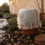 Que faire au jardin en hiver : pot protégé par voile d’hivernage et paillage de feuilles
